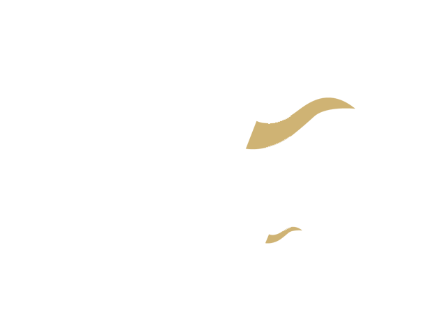Logo Bleu MATHIS Gili Asahan