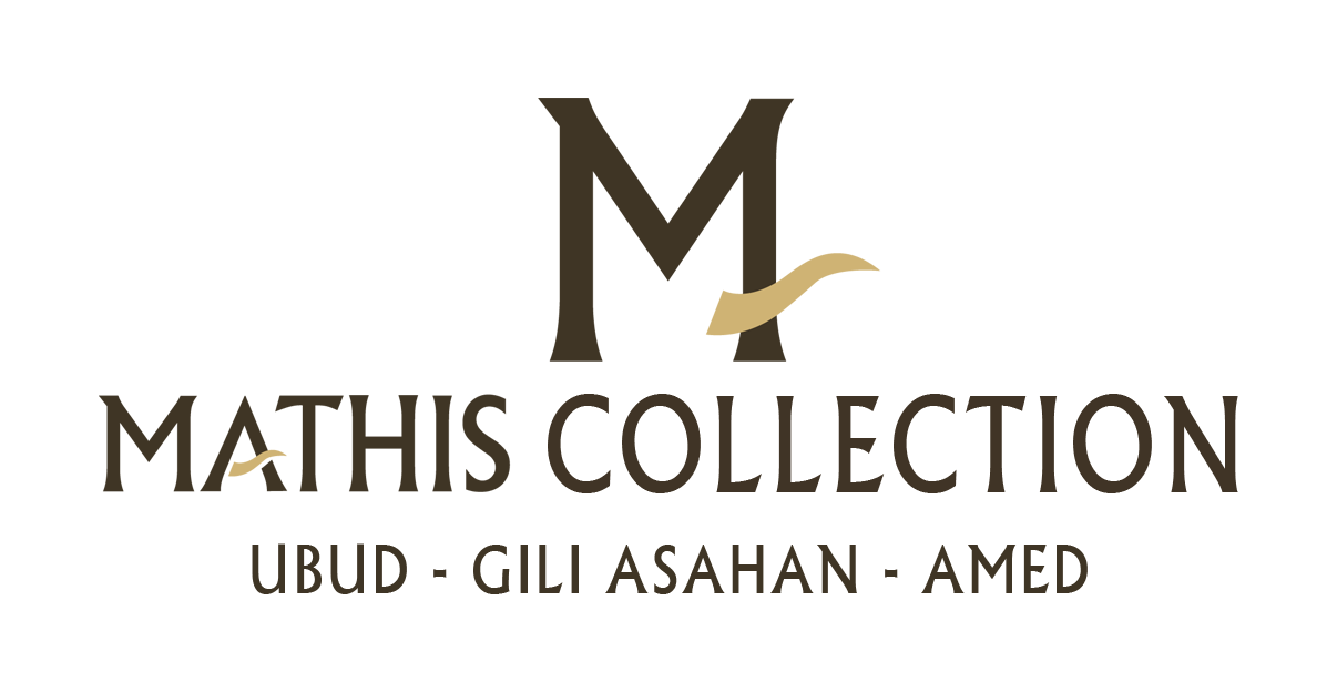 logo Bleu MATHIS Gili Asahan